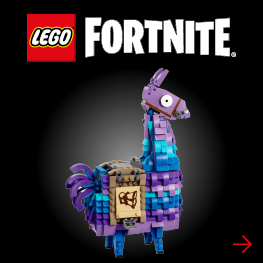 adult_brand_page_LEMI_Lego_2025_1000xX_v04_263.25 x 263.2518